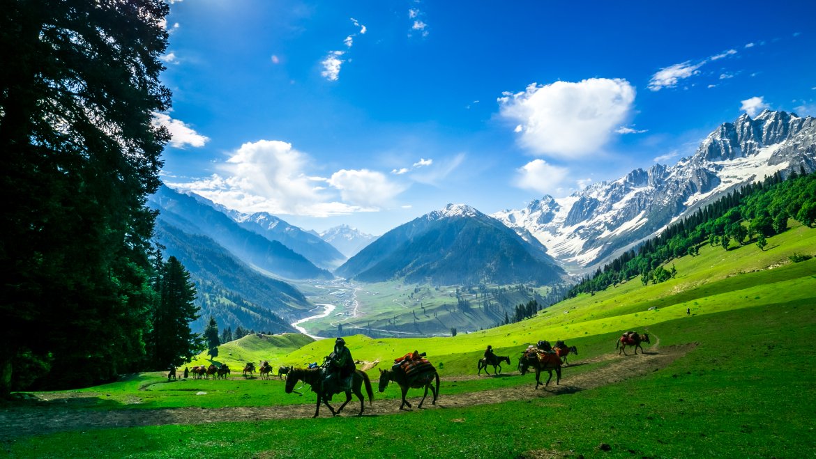 Call us on 7006477719 to book your horse ride in Gulmarg, Sonmarg and Pahalgam. Kashmir Cab Service
